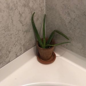 Meet your Posher, Dan